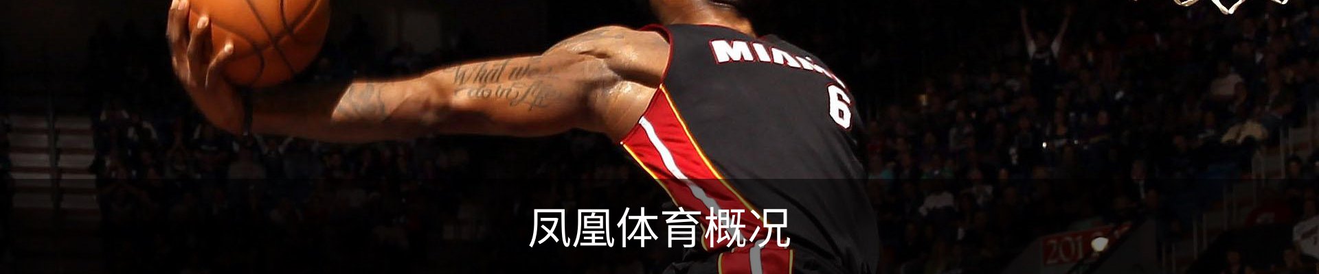 凤凰体育概况